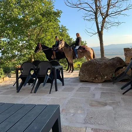 Al Podere Del Nonno Romolo Sansepolcro