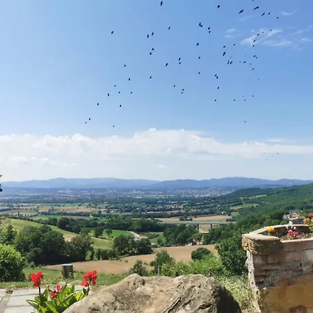 Al Podere Del Nonno Romolo Gospodarstwo agroturystyczne