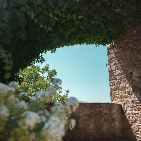 Agroturismo Al Podere Del Nonno Romolo