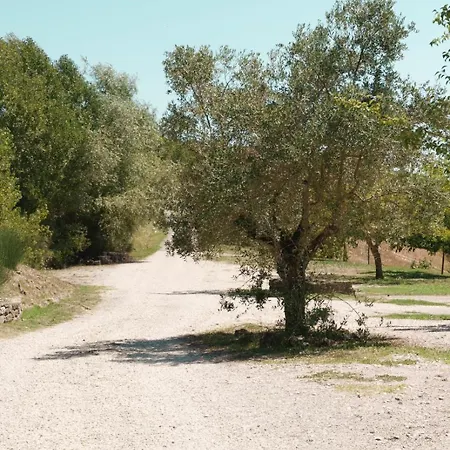 Al Podere Del Nonno Romolo *