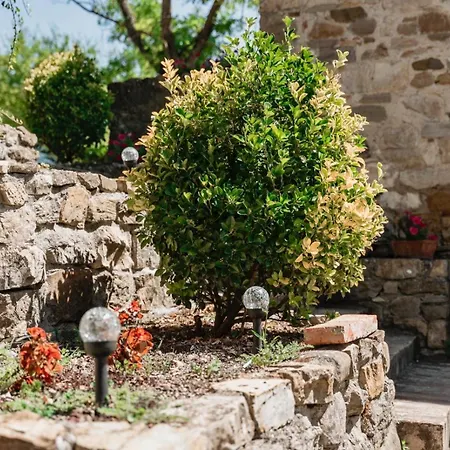 Al Podere Del Nonno Romolo Agroturismo *