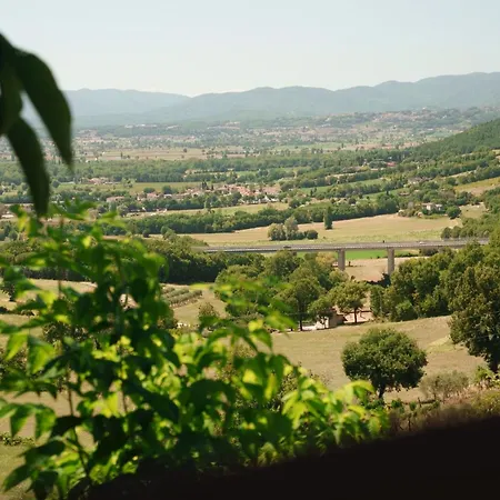 Al Podere Del Nonno Romolo *
