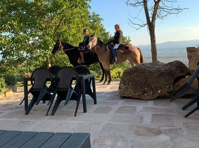 Al Podere Del Nonno Romolo Sansepolcro