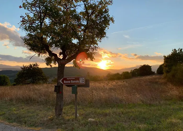 Al Podere Del Nonno Romolo Agroturismo *