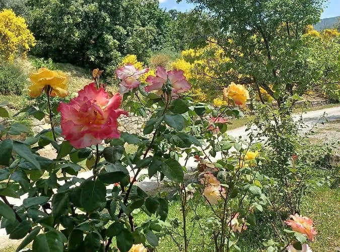Agroturismo Al Podere Del Nonno Romolo