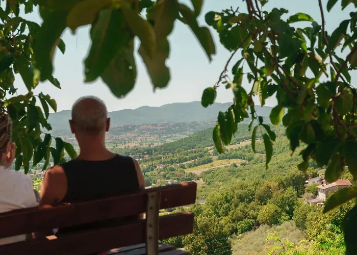 Al Podere Del Nonno Romolo Agroturismo